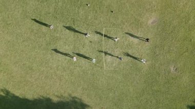 Aerial view of drone shot of people playing volleyball in park . High quality 4k footage