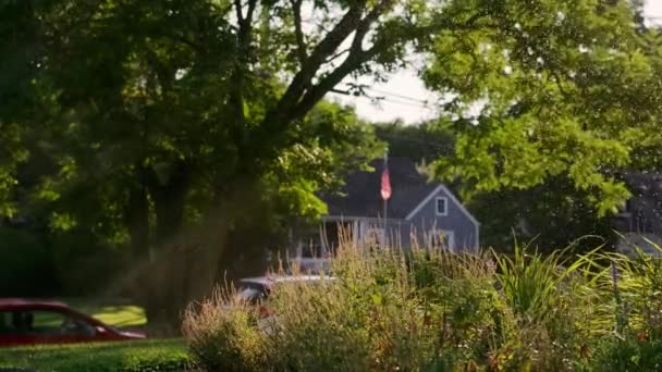 Rotating Sprinkler Watering Fenced Yard Passing Sun Sunset Suburbs High — Vídeos de Stock