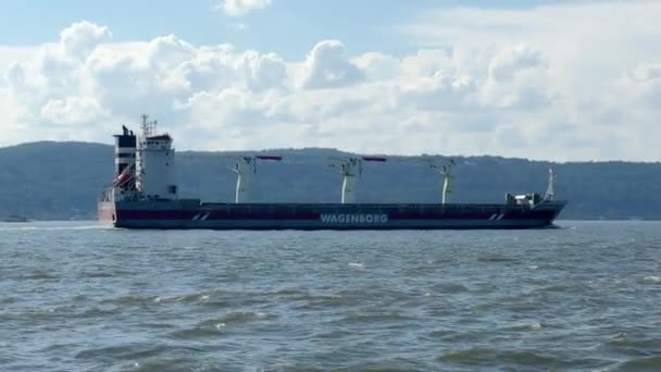 Newark Container Ship Cargo Port Newark June 2022 Movement Cargo — Stockvideo