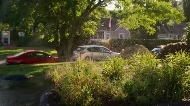 Rotating Sprinkler Watering Fenced Yard Passing Sun Sunset Suburbs High — Stok video