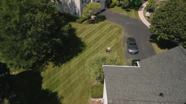 Een Tuinman Maait Groen Gras Achtertuin Een Zonnige Zomerdag Hoge — Stockvideo