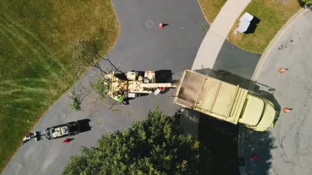 Onderhoudspersoneel Laadt Snoeitakken Houtversnipperaar Machine Voor Het Versnipperen Hoge Kwaliteit — Stockvideo