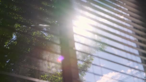 Ήλιος Λάμπει Μέσα Από Παράθυρα Κλειστά Αργή Κίνηση Υψηλής Ποιότητας — Αρχείο Βίντεο