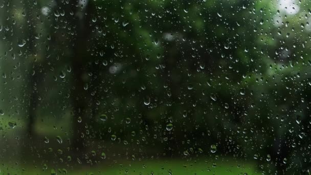 Regentropfen Auf Fenster Mit Unscharfem Grünen Hintergrund Hochwertiges Filmmaterial — Stockvideo