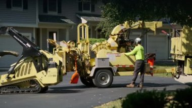 Bakım işçisi ağaç dallarını Naperville IL 'i parçalamak için yonga makinesine yüklüyor. ABD 28 Eylül 2022. Yüksek kalite 4k görüntü
