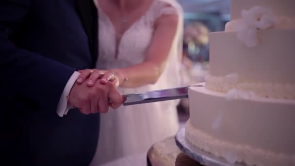 Brudgummen Skar Upp Bröllopstårtan Bröllopsdagen Högkvalitativ Film — Stockvideo