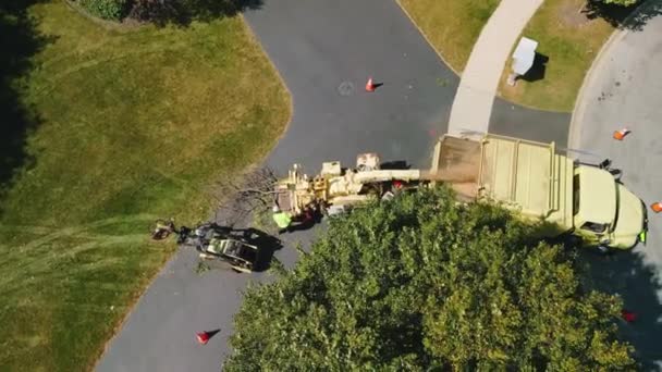 Maintenance Worker Loading Cut Tree Branches Wood Chipper Machine Shredding — Stock Video