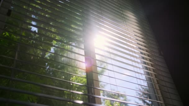 Sol Brilhando Através Persianas Perto Movimento Lento Imagens Alta Qualidade — Vídeo de Stock