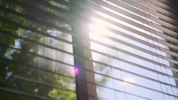 Ήλιος Λάμπει Μέσα Από Παράθυρα Κλειστά Αργή Κίνηση Υψηλής Ποιότητας — Αρχείο Βίντεο