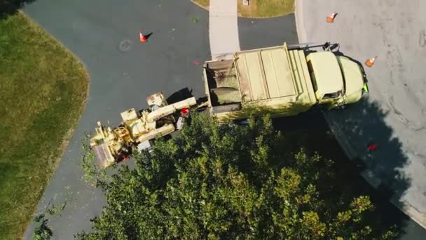 Maintenance Worker Loading Cut Tree Branches Wood Chipper Machine Shredding — Stock Video