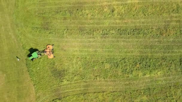 Vista Aérea Tractor Campo Corta Hierba Imágenes Alta Calidad — Vídeo de stock