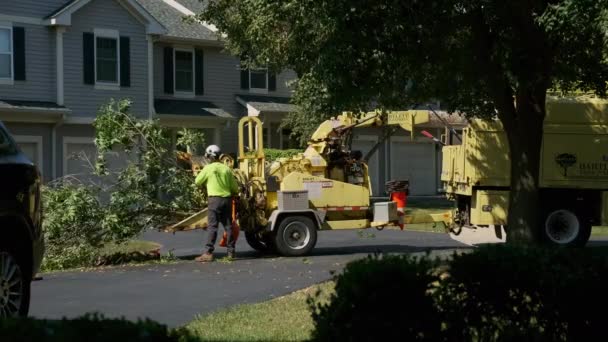 维修工把砍下来的树枝装进了伐木机 用来切碎Naperville 2022年9月28日高质量的4K镜头 — 图库视频影像