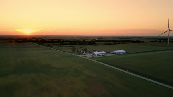 Flygfoto Över Amerikansk Landsbygd Landskap Jordbruksmark Flyger Över Majsfält Landsbygdsmiljö — Stockvideo