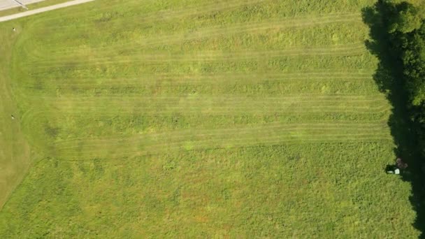 Luchtfoto Van Tractor Het Veld Maait Gras Hoge Kwaliteit Beeldmateriaal — Stockvideo