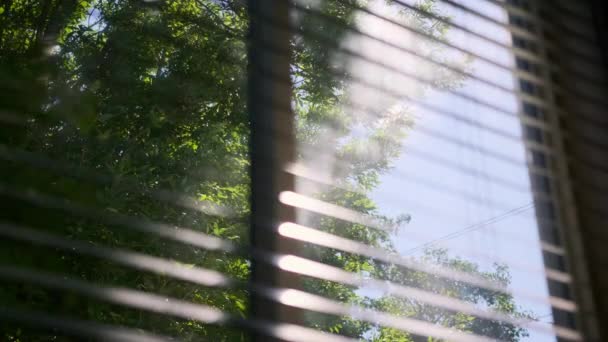 Pencereden Süzülen Güneş Perdeleri Kapanır Ağır Çekim Yüksek Kalite Görüntü — Stok video