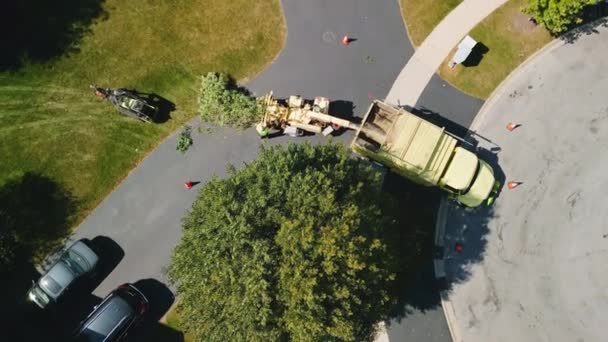 Préposé Entretien Charge Les Branches Coupées Dans Machine Déchiqueter Pour — Video