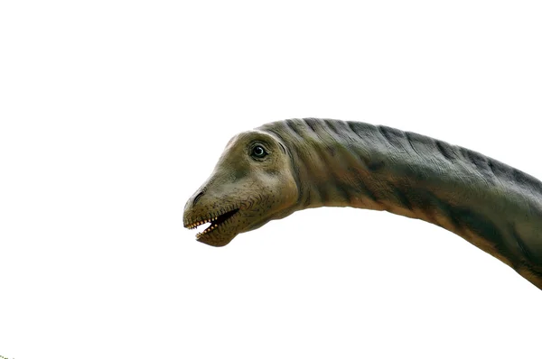 Cabeza de dinosaurio — Foto de Stock