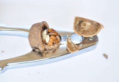 Fındıkkıran ile ezilmiş ceviz