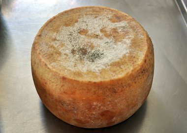 Yaşlı koyun peyniri