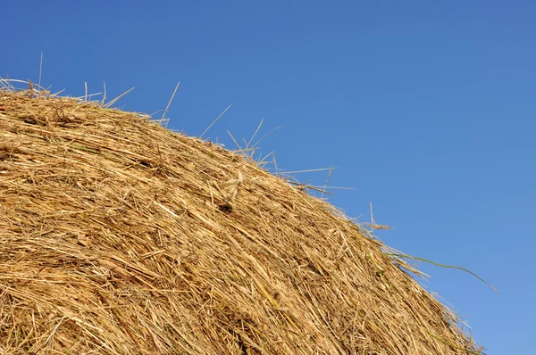 Detalj av en bal med hö med blå himmel — Stockfoto