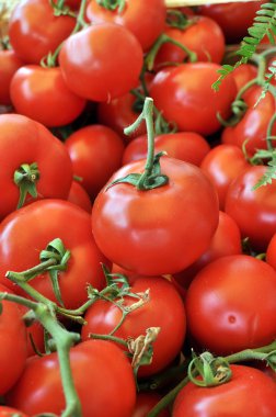 Domatesler