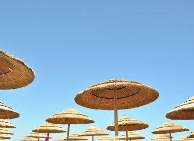 Bambu şezlong