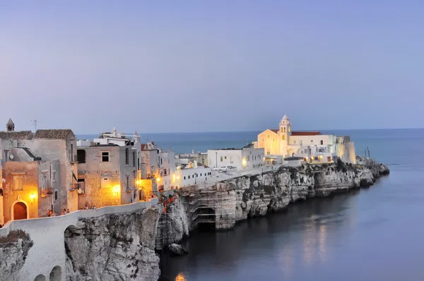 Vieste by night — Stock Photo, Image