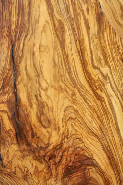 Madera de olivo — Foto de Stock