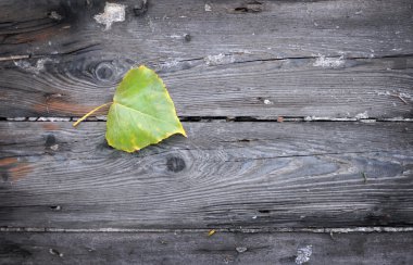 Grunge ahşap arka plan