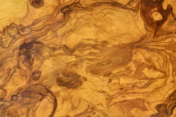 背景のオリーブの木 ロイヤリティフリーのストック画像