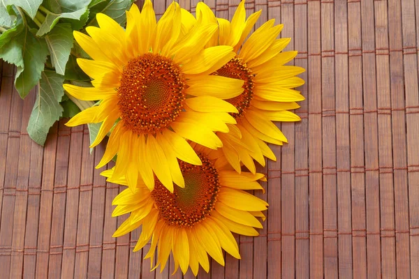 Strauß Sonnenblumen Auf Dunklem Hintergrund — Stockfoto