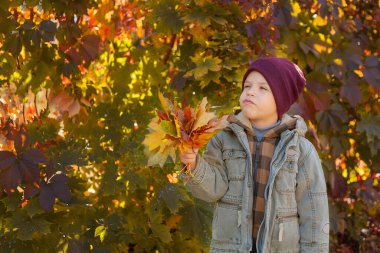 Üzüm yapraklarından yapılmış bir duvarın arkasında sevimli bir çocuk. Sonbahar portresi.