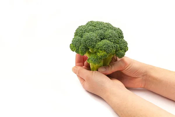 Die Hand Der Frau Hält Brocoli Auf Weißem Hintergrund Vegetarismus — Stockfoto