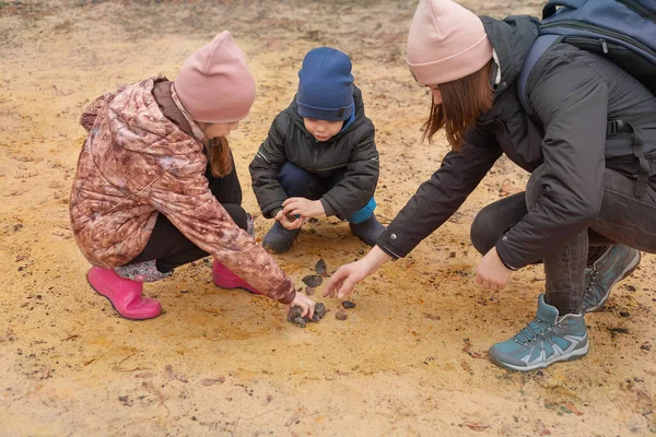 Los Niños Examinan Piedras Minerales Sobre Fondo Arena Experimentos Escolares Fotos de stock libres de derechos