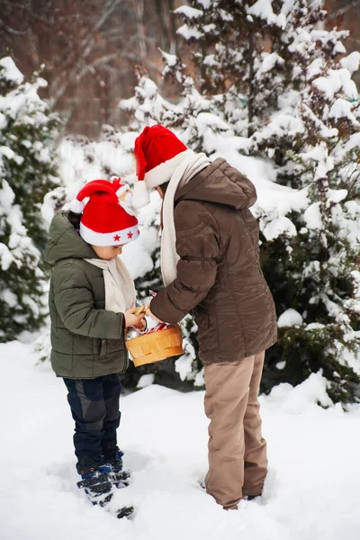 Cute happy kids, boy and girl in santa hats decorate christmas tree in snowy forest. Nice snowy weather Family vacation