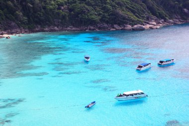 sürat teknesi ile mavi deniz