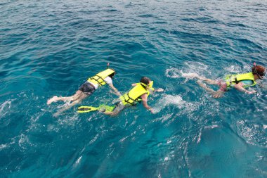 Mavi coral reef dalış