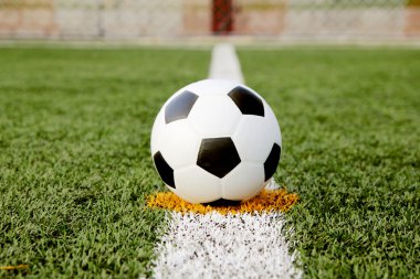 futbol topu çimlerin üzerinde