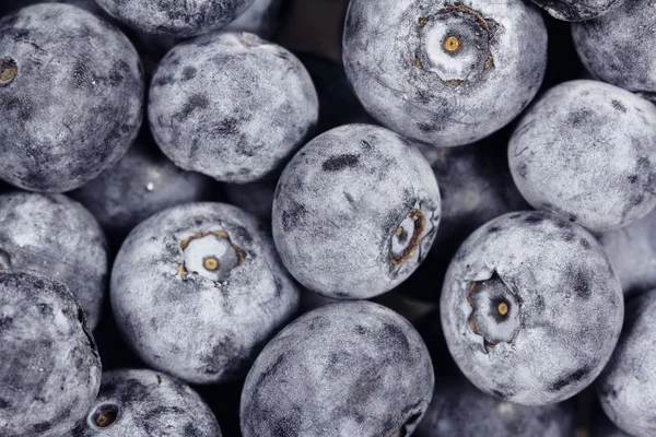 Fresh blueberry — Stock Photo, Image