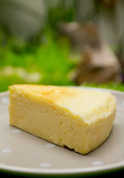 Bolo de queijo — Fotografia de Stock