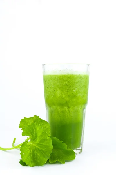 Pennywort ou asiático de ervas Smoothie em vidro — Fotografia de Stock