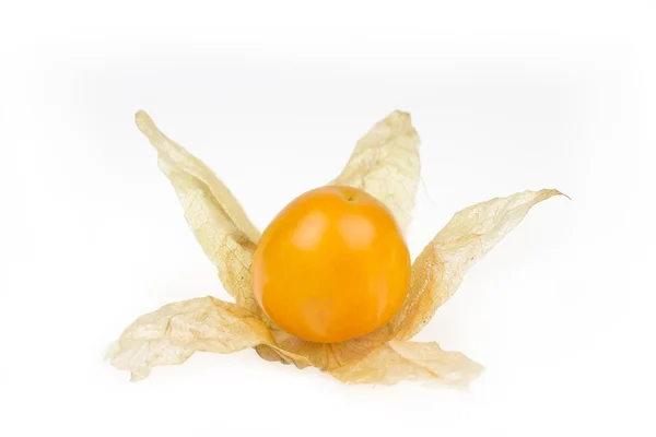 Cape gooseberry — Zdjęcie stockowe