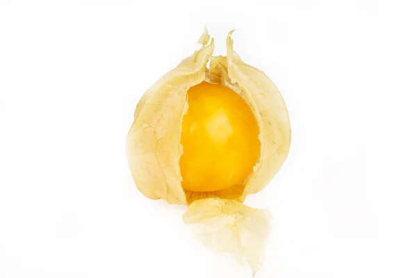 Cape gooseberry — Zdjęcie stockowe