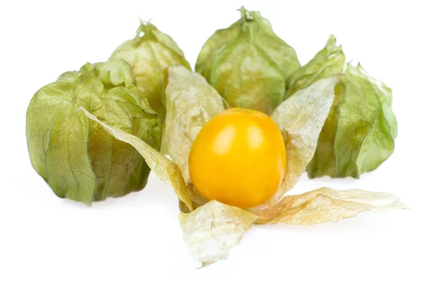 Cape gooseberry — Zdjęcie stockowe