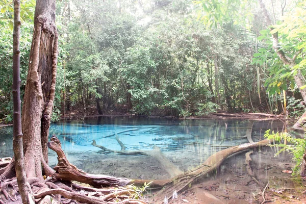 Lac bleu dans la forêt profonde — Photo