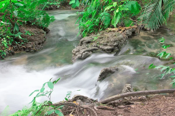 Cascada y rocas cubiertas de musgo en el bosque profundo — Foto de Stock