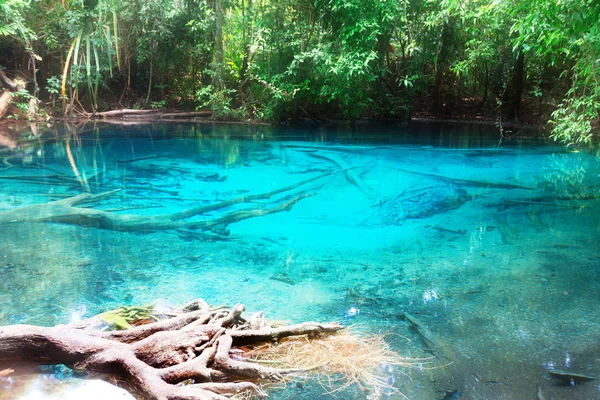 Blue lake in deep forest — Stock Photo, Image