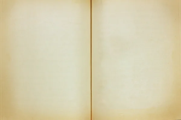 Ancienne texture du livre — Photo
