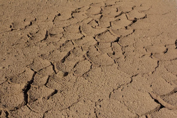 Textura da terra seca — Fotografia de Stock