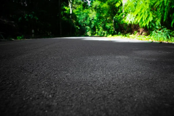 Forest road. Landscape. — Stock Photo, Image